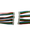 1.25mm JST Type Custom Cable Assembly for Automotive Use