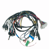 Custom LED light wire harness automobile new energy cable Proofing within Three Days