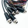 Custom Wire Harness Metal Male Female PG9 TE Connector Sensor Cable